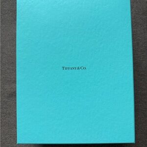 Tiffany & Co. Turquoise Gift Box